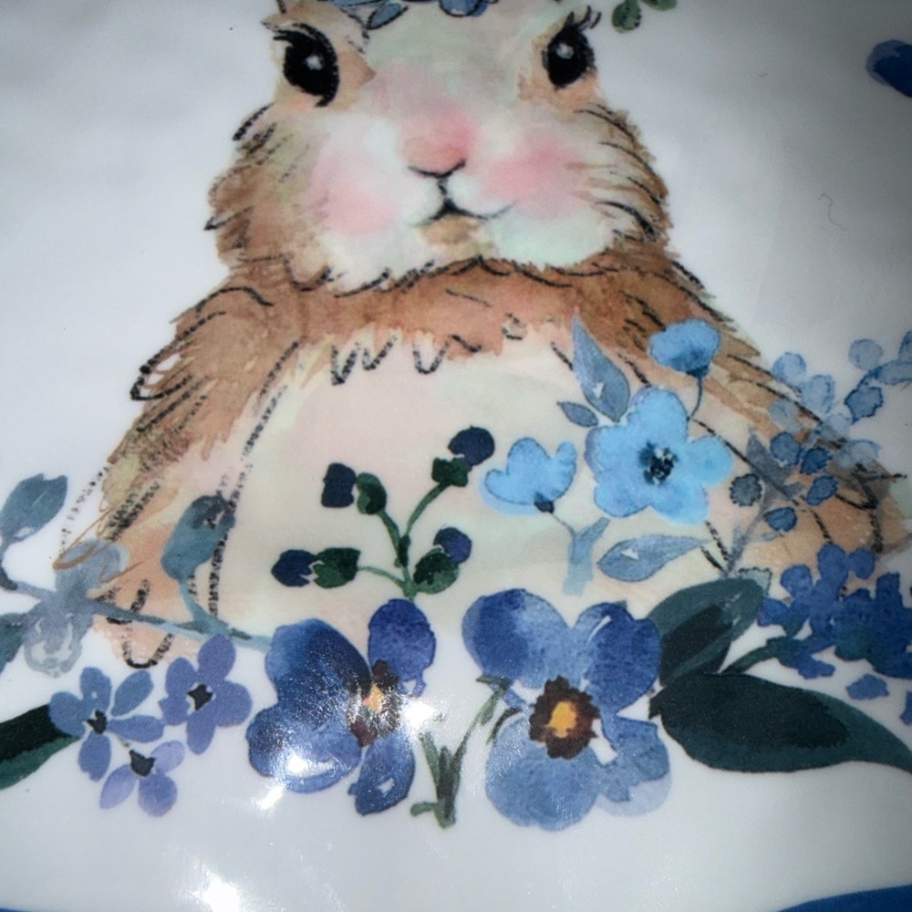 Set of 4 Spring Plates Easter Rabbit Bunny Melamine Cottage Country - Picture 2 of 3